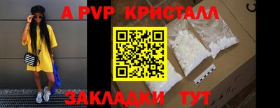 стафф Заводоуковск