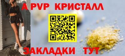 стафф Заводоуковск