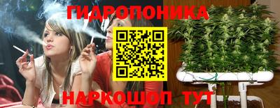 стафф Заводоуковск